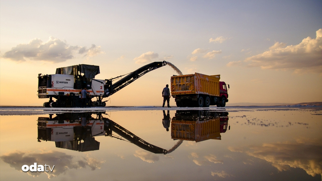 anadolunun beyaz hazinesi 5 kitaya ulasti QDCGPWCg