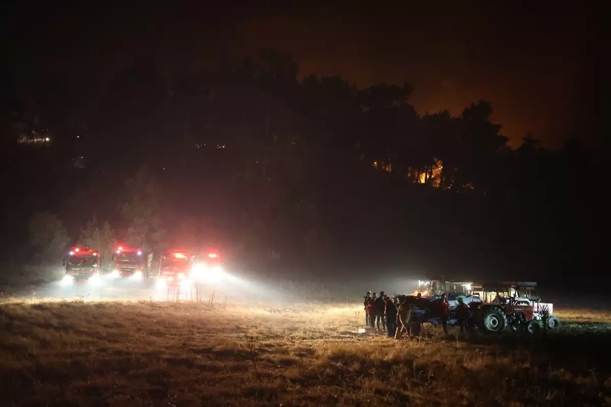 koycegizde orman yanginina mudahale aBkt8BsX