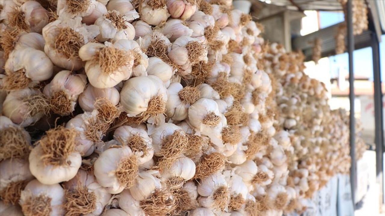 sarimsak yemek icin on neden ve taskopru sarimsaginin essiz yapisi waUIbiaP.webp