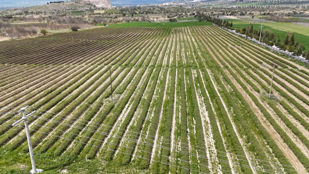 ispartada-gul-hasadi-oncesi-umutlar-yukseldi-rekolte-13-bin-ton-bekleniyor-pC9xytwx