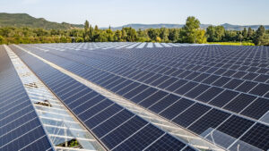 topragin-dijital-zirhi-cinin-algoritmalari-dunyayi-doyurabilir-mi-xvK7E689